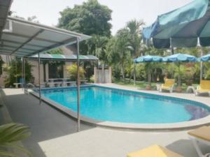 We have a nice Swimmingpool, the pool is open around the clock