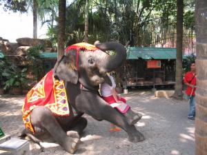 Nong Nooch Garden
